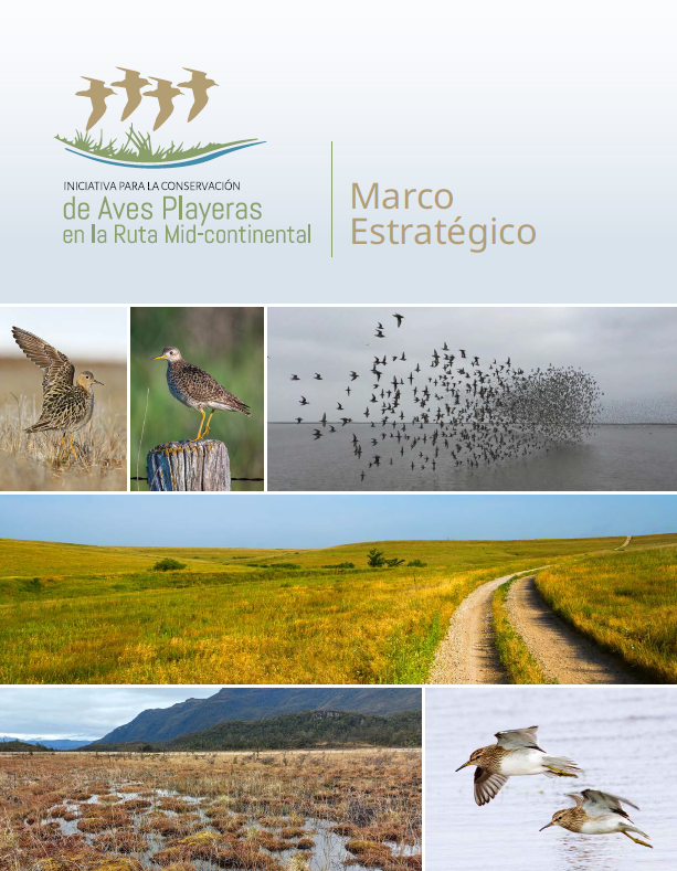 Recién salido del horno....ya está disponible para descargar midamericasshorebirds.org/es/recursos/ #avesplayeras