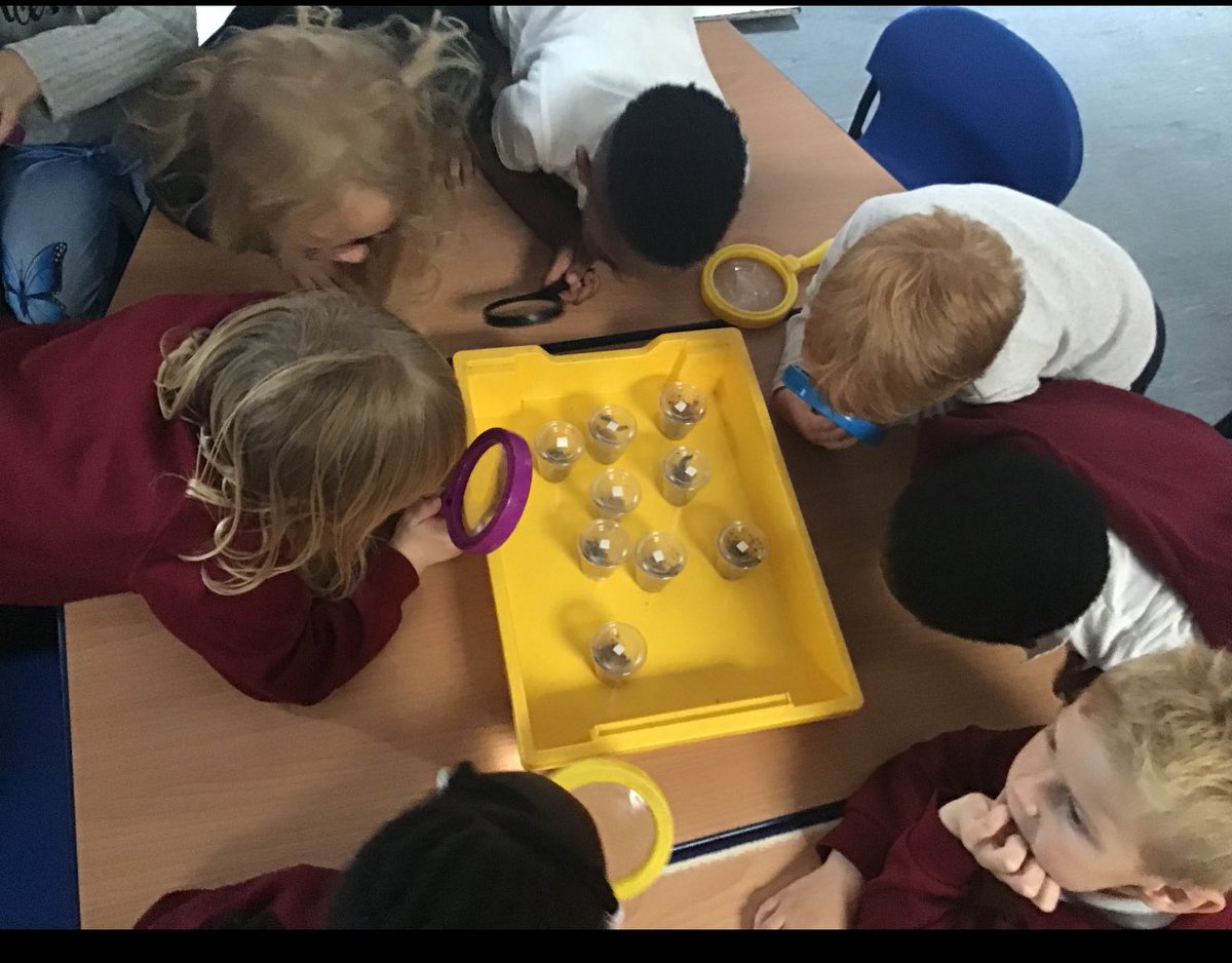 The children in F2 have been enjoying watching the caterpillars grow. We are loving learning about the life cycle of a butterfly 🦋 🐛