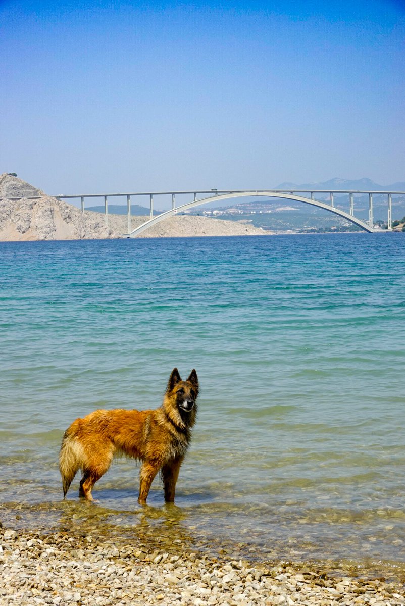 Reiseblog & Kreuzfahrtblog fernwehblog.net (@reise_blog) on Twitter photo Familienzeit auf #Krk 🇭🇷 – Sonne, #Meer & jede Menge #Abenteuer! 🌊🐚
Vom Bummeln durch die #Altstadt bis zum Planschen in einsamen Buchten – #Kroatien, du hast unser #Herz erobert 💙
#InselKrk #Familienurlaub #Reiseliebe #Fernweh #TravelwithKids #Urlaub2025 🏖️👣🧳 <a href="/Croatia_hr/">Croatia Full of life</a> Familienzeit auf #Krk 🇭🇷 – Sonne, #Meer & jede Menge #Abenteuer! 🌊🐚
Vom Bummeln durch die #Altstadt bis zum Planschen in einsamen Buchten – #Kroatien, du hast unser #Herz erobert 💙
#InselKrk #Familienurlaub #Reiseliebe #Fernweh #TravelwithKids #Urlaub2025 🏖️👣🧳 <a href="/Croatia_hr/">Croatia Full of life</a>