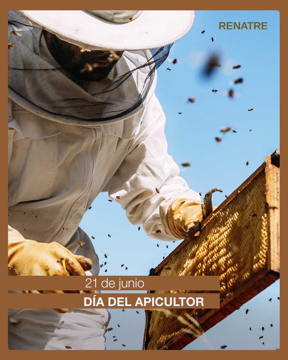 Saludamos a todos los trabajadores y trabajadoras dedicados a la noble labor de la #Apicultura. Gracias por el esfuerzo y dedicación en esta valiosa actividad.¡Feliz Día del Apicultor!