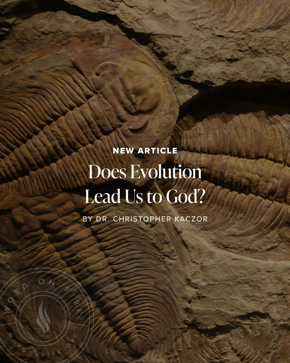 Word on Fire (@wordonfire) on Twitter photo “The fact that the world all fits together points to the idea of an Author of it all who uses evolution to lead us to himself”: on.wof.org/43yWWSy
<a href="/Prof_Kaczor/">Dr. Christopher Kaczor</a> “The fact that the world all fits together points to the idea of an Author of it all who uses evolution to lead us to himself”: on.wof.org/43yWWSy
<a href="/Prof_Kaczor/">Dr. Christopher Kaczor</a>
