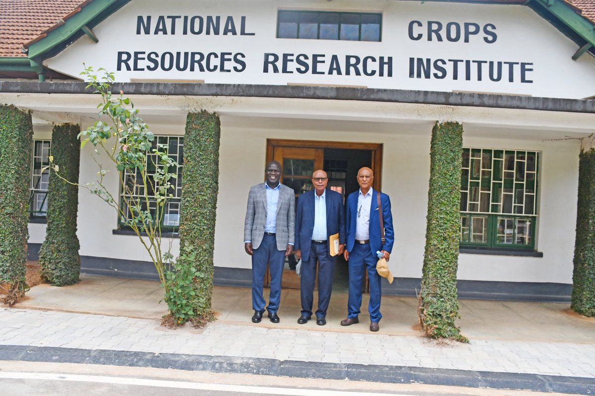NARO-NaCRRI-Namulonge (@naro_nacrri) on Twitter photo Today, <a href="/Director_NaCRRI/">Dr. Titus Alicai</a> hosted Dr. Tsegay Berhane Ghebremariam, #Director #General of the National Agricultural Research Institute of #Eritrea, with Dr. Negusse Abraham, Director of #Crop Improvement. The visit focused on exploring potential #collaboration areas with NARO. Today, <a href="/Director_NaCRRI/">Dr. Titus Alicai</a> hosted Dr. Tsegay Berhane Ghebremariam, #Director #General of the National Agricultural Research Institute of #Eritrea, with Dr. Negusse Abraham, Director of #Crop Improvement. The visit focused on exploring potential #collaboration areas with NARO.