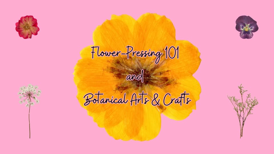 Join us at Trailside Nature Museum, this Saturday, June 14, from 1 p.m. to 2 p.m. to learn how to identify wildflower species, and learn about the unique uses each plant has. Flower ID and pressing to be followed by botanical arts and crafts.