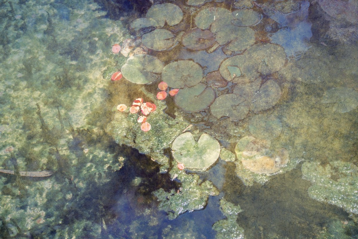 Photos from the magical world of Sintra, Portugal