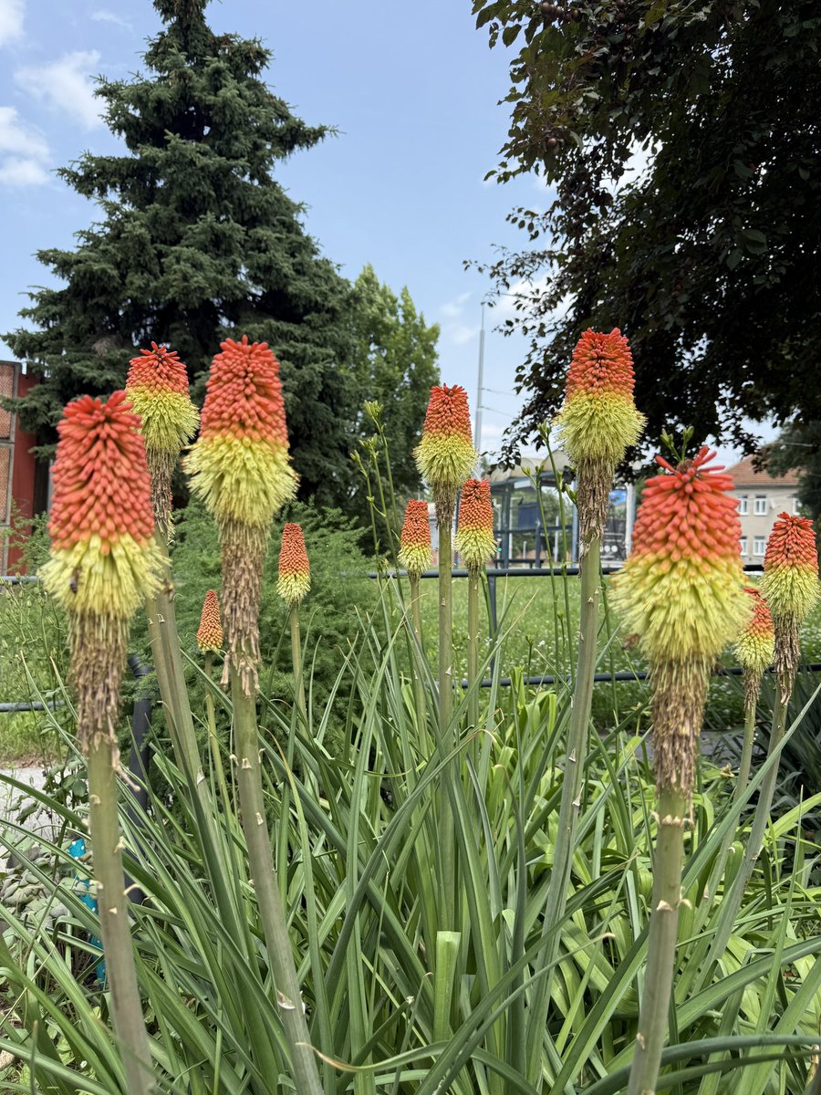 Pochvatka. 
#Židenice