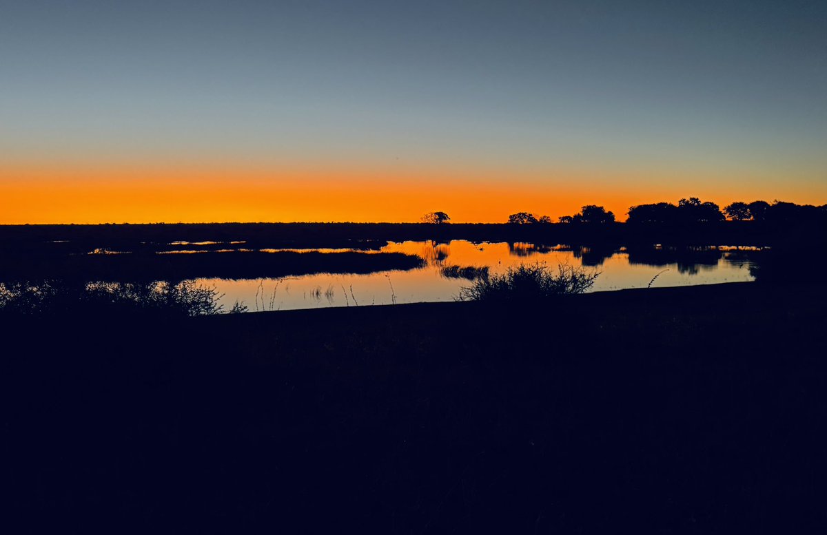 Brent Lindeque (@brentlindeque) on Twitter photo How it started.
How it ended.
Sunsets hit different in Africa. â¤ď¸
#LandOfTheGiants #MashatuMagic #MashatuReserve #Euphorbia #BotswanaAdventures #CyclingSafari #AdventureAwaits <a href="/Mashatu_Reserve/">Mashatu Game Reserve</a> How it started.
How it ended.
Sunsets hit different in Africa. â¤ď¸
#LandOfTheGiants #MashatuMagic #MashatuReserve #Euphorbia #BotswanaAdventures #CyclingSafari #AdventureAwaits <a href="/Mashatu_Reserve/">Mashatu Game Reserve</a>