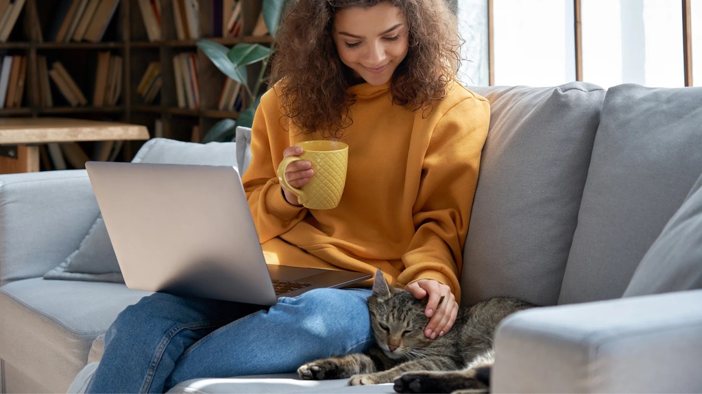 KittyNookCo's tweet photo. Fleeing for the safety of the closest piece of furniture when the company arrives might mean your cat is undersocialized.

Read more 👉 https://t.co/ohxi592kHO

#catsocialization #Cats #Furparent https://t.co/2QAtckwXfe