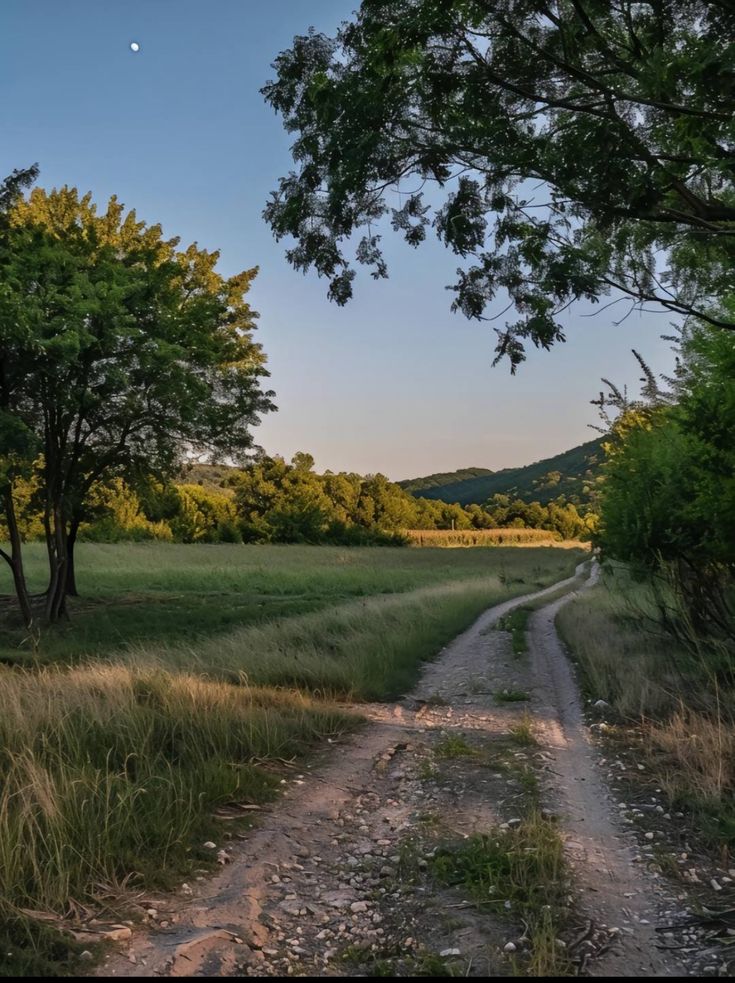 greenvibe's tweet photo. nature https://t.co/41lLXcoOZ3