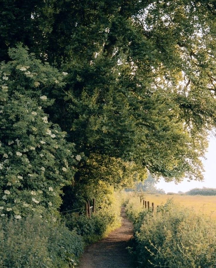 greenvibe's tweet photo. nature https://t.co/41lLXcoOZ3