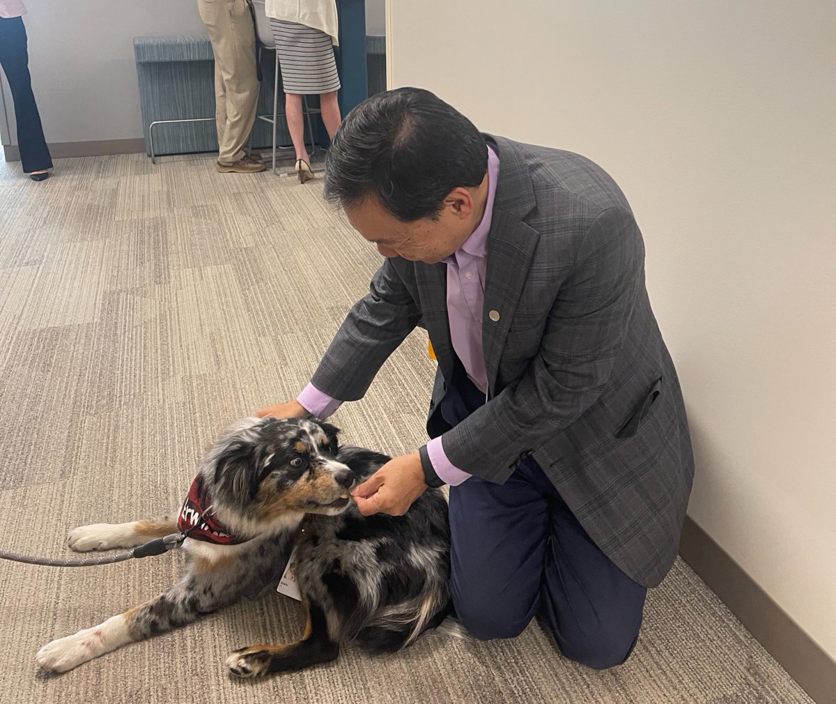PatrickHwuMD's tweet image. Did you know some of our volunteers @MoffittNews have four paws? 🐾

Love seeing Erwin, an Australian Shepherd who is part of our Pet Therapy program, around the cancer center. His mom Lily is a nurse resident in 3 South and volunteers in her free time!  

#PetTherapy