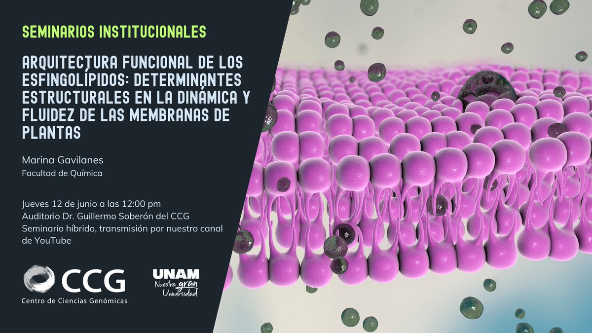 ccg_unam's tweet image. Vuelven nuestros seminarios institucionales
En esta ocasión nos acompañará la Dra. Marina Gavilanes, de la Facultad de Química UNAM.
La cita es este jueves 12 de junio a las 12:00 pm en nuestro auditorio y también por nuestro canal de YouTube.
No te lo pierdas.