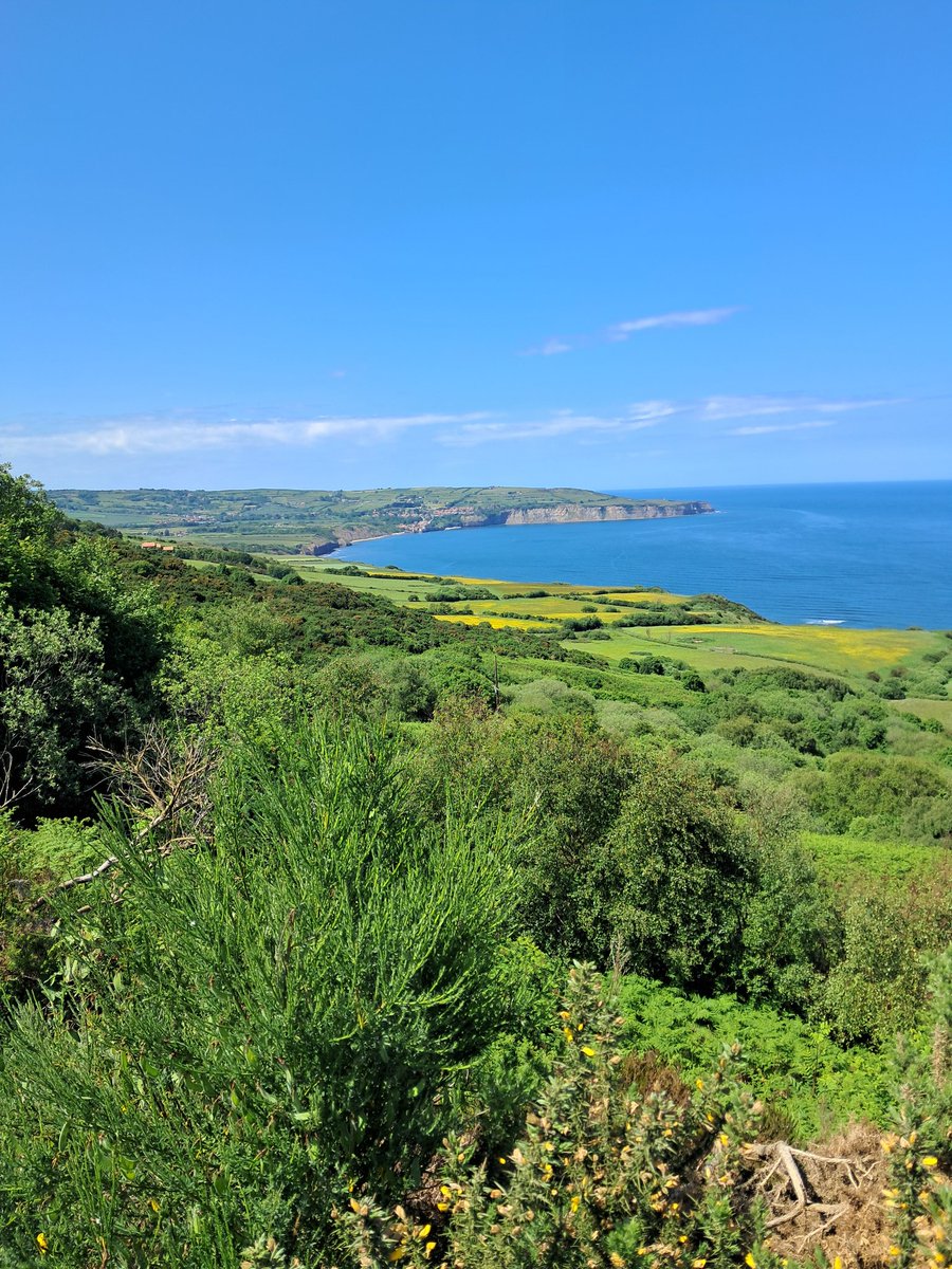 LorraineToal's tweet image. A lovely walk from Ravenscar to Robin Hood&apos;s Bay today. Back in the garden now with a nice glass of red, listening to In Tune @PetrocTrelawny .  Still buzzing after singing in The Creation at the weekend.......a good audience, and it was well received 🎶😃