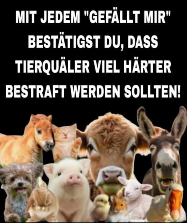 VIEL HÄRTERE STRAFEN FÜR TIERQUÄLER!!!
Tierquälerei ist ein schweres Verbrechen an fühlenden Lebewesen, dafür sollte es jahrelange, unbedingte Freiheitsstrafen mit einem Tierhalteverbot auf Lebzeit geben!

Petition: change.org/haertere_straf…