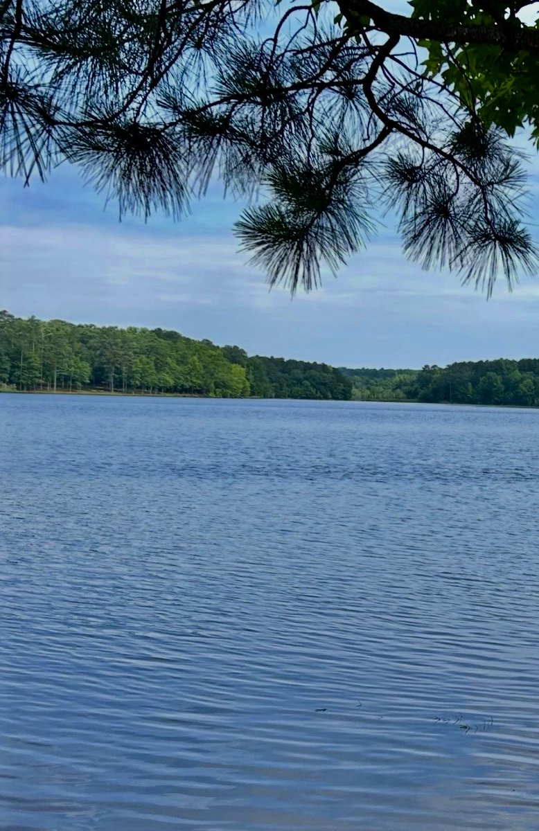 Lovely day to Y’all🍃