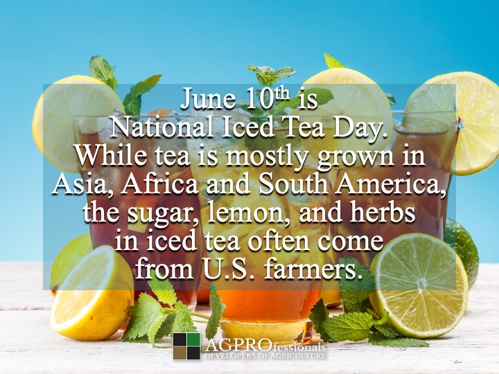 AGPRealEstate's tweet image. It’s more than a drink—it’s a blend of global ag 🌍🧊

Tea, lemon, mint, and sugar: each adds flavor, health, and a story

#NationalIcedTeaDay #FarmToGlass #AgInEverySip #TeaAndAg #HealthyAg