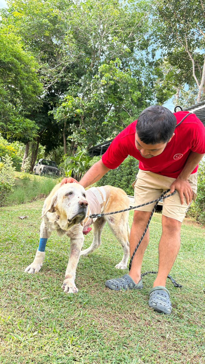 Niall Harbison tweet media