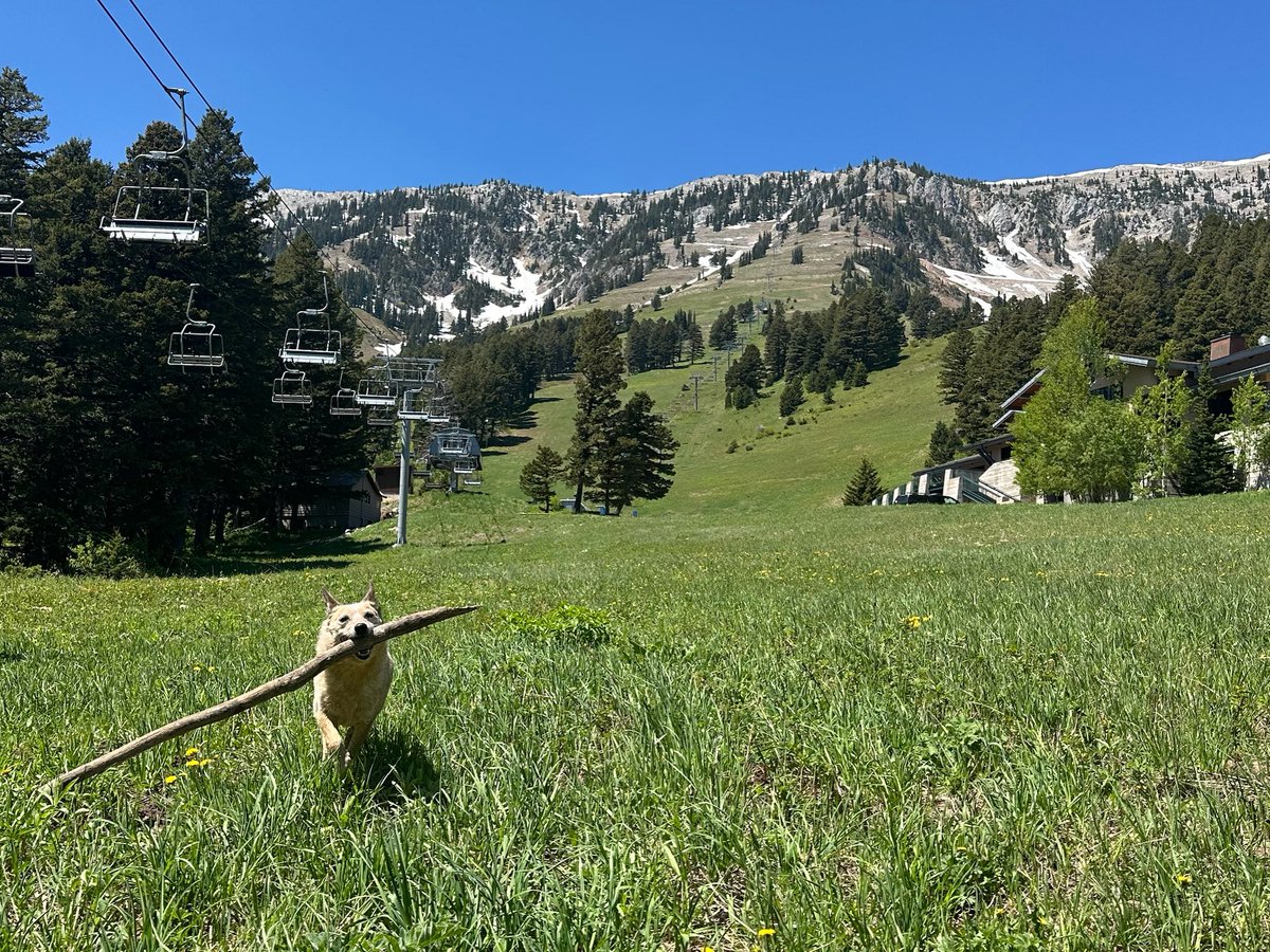 Be Outside Kind and help us pack it out! Join our staff for a clean up day from mid mountain to the parking lots.

🗓️ June 17 from 3-6pm (arrive anytime)
 📍 Check in at Jim Bridger Lodge
 🚐 Shuttle to Deer Park Chalet available
 🎁 Door prizes (must be present to win)