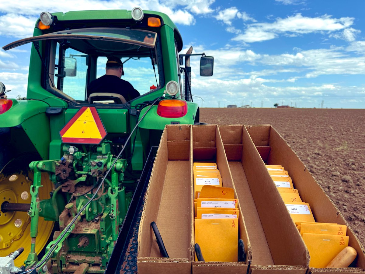 Pradeepku98's tweet image. Planting season kicked off with a bang! Last week, we successfully planted over 7,000 plots!
Huge kudos to the incredible #Sorghum team for the teamwork and hustle! Exciting things ahead from the #HayesLab!
#Sorghum #PlantBreeding #USDA #FieldSeason #ResearchInAction