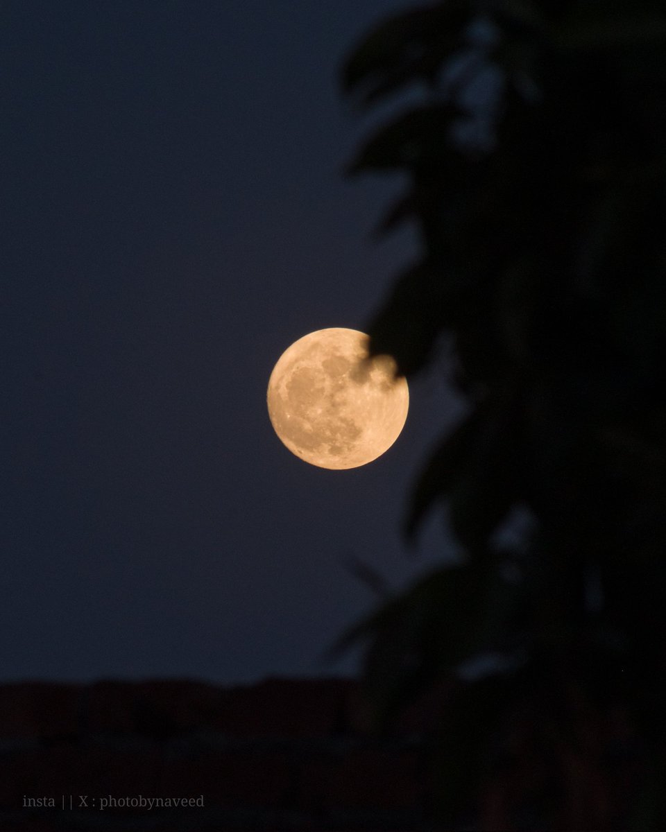 photobynaveed's tweet photo. Chasing the magic of June’s Full Strawberry Moon🌕 🍓 https://t.co/JEnuoOwmRw