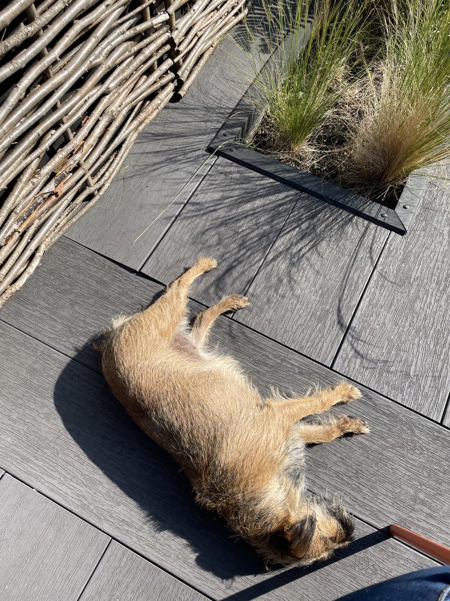 This holibobs business is exorstin… 
#BTPosse