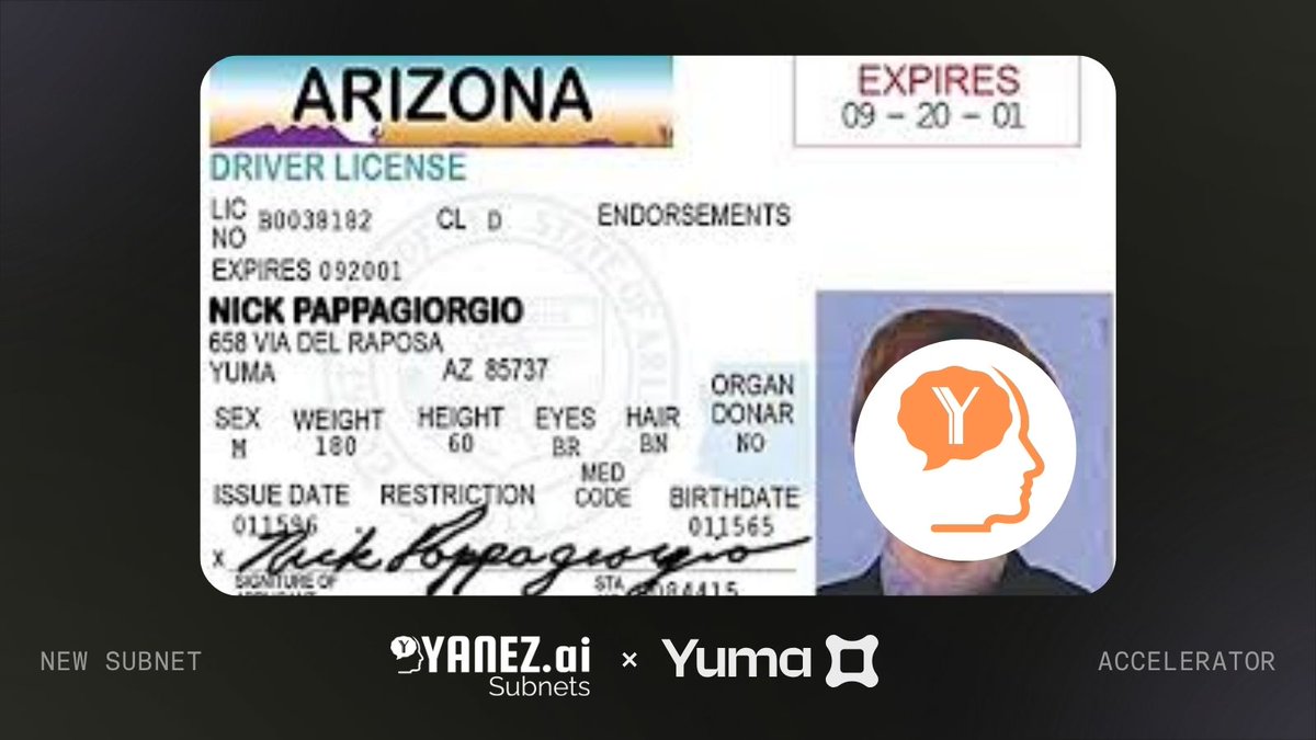Yanez MIID (SN54) is now live on Bittensor.
 
<a href="/yanez__ai/">Yanez.ai</a> generates realistic, AI-made identities to test how financial crime prevention systems catch fraud and fake documents.
 
If you've seen Vegas Vacation, you know Nick Pappagiorgio from Yuma, Arizona would have fit right in.