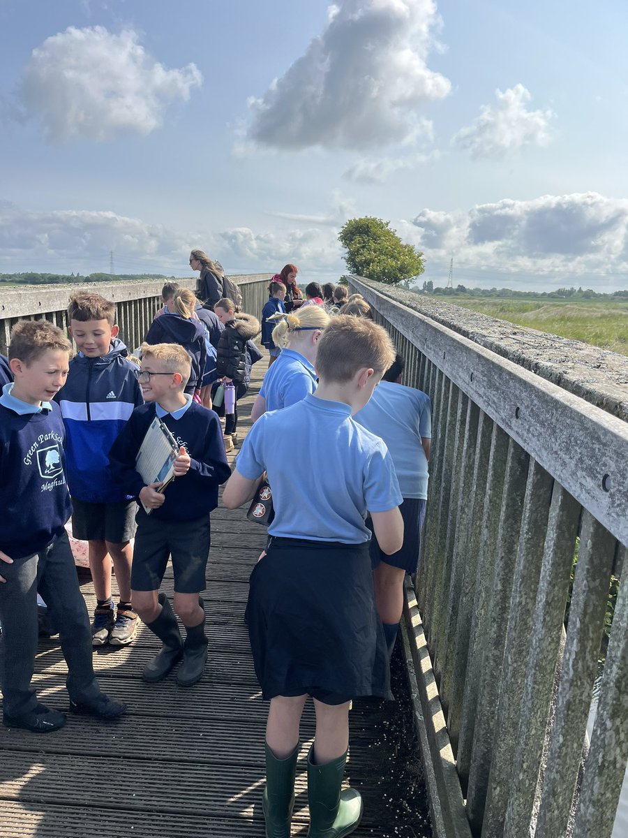 Mr Groves Y4 tweet media