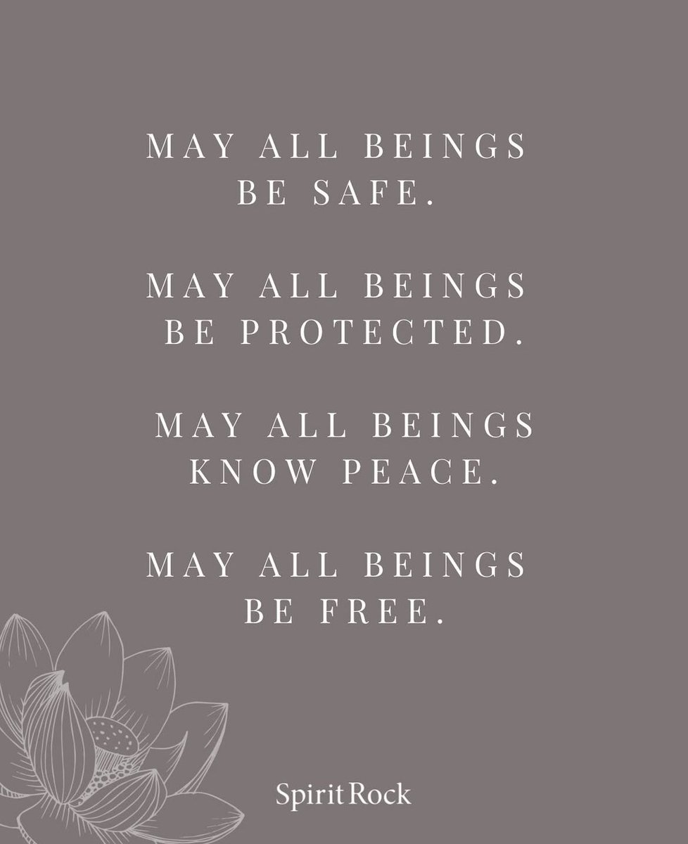 Jack Kornfield tweet media