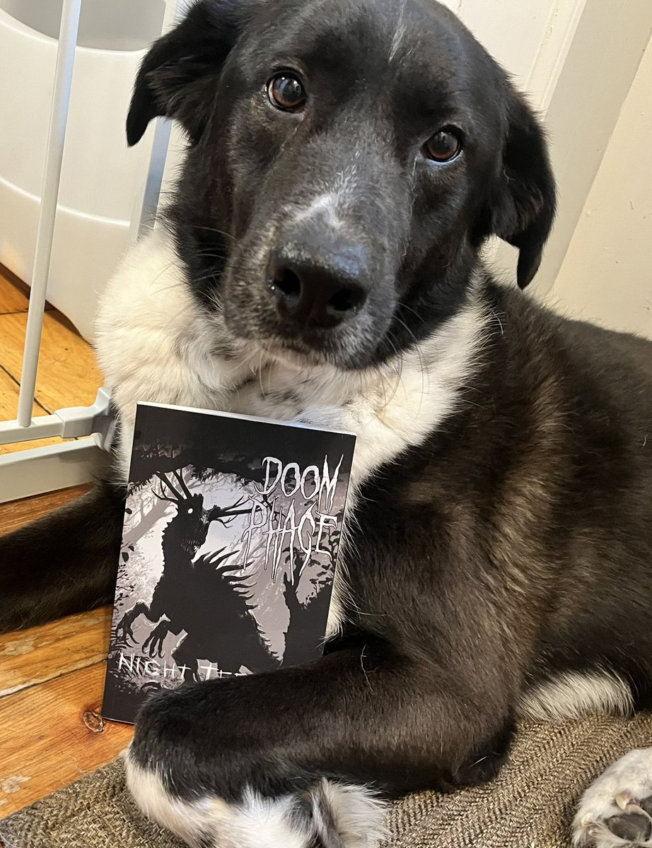 GrimThrall's tweet photo. Curl up with your copy of Doom Phage: Night Terror! Available on Amazon.
https://t.co/kvAnNgj93T
Cover art by https://t.co/oDWwgwmZcj
#doomphage #dinosaur #dinosaurs #paleohorror #horror #horrorbooks #horrorcommunity #paleocommunity https://t.co/1H0tbLDhIx
