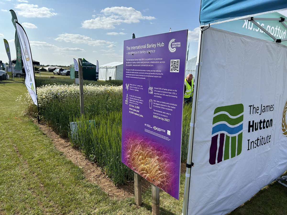 International Barley Hub tweet media