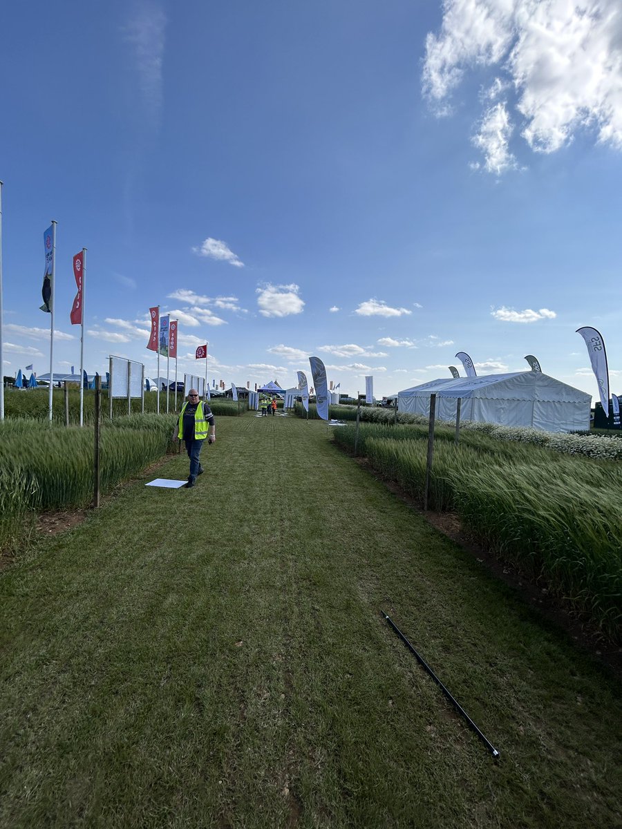 International Barley Hub tweet media