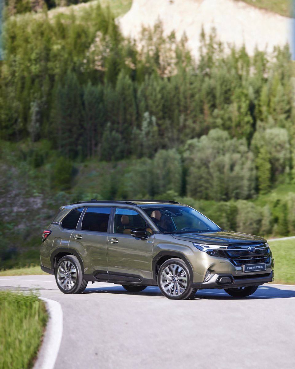 ¿Sabes en qué año se lanzó cada generación de #Forester de las fotos? 🧐
Nuestro modelo más icónico evoluciona, pero hay algo que nunca cambia: la calidad, seguridad y espíritu #Subaru.

Puedes probar el nuevo #Forester2025 reservando tu test drive en nuestra web.  ¿Te animas?