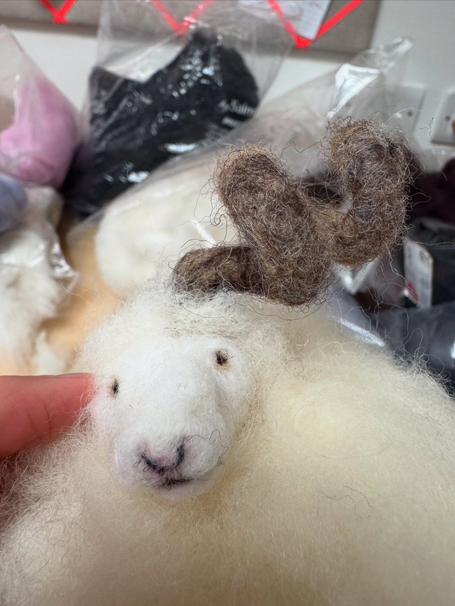 Starting a new commission with this curly horned ram….                                   

 #animalart #artcommissions