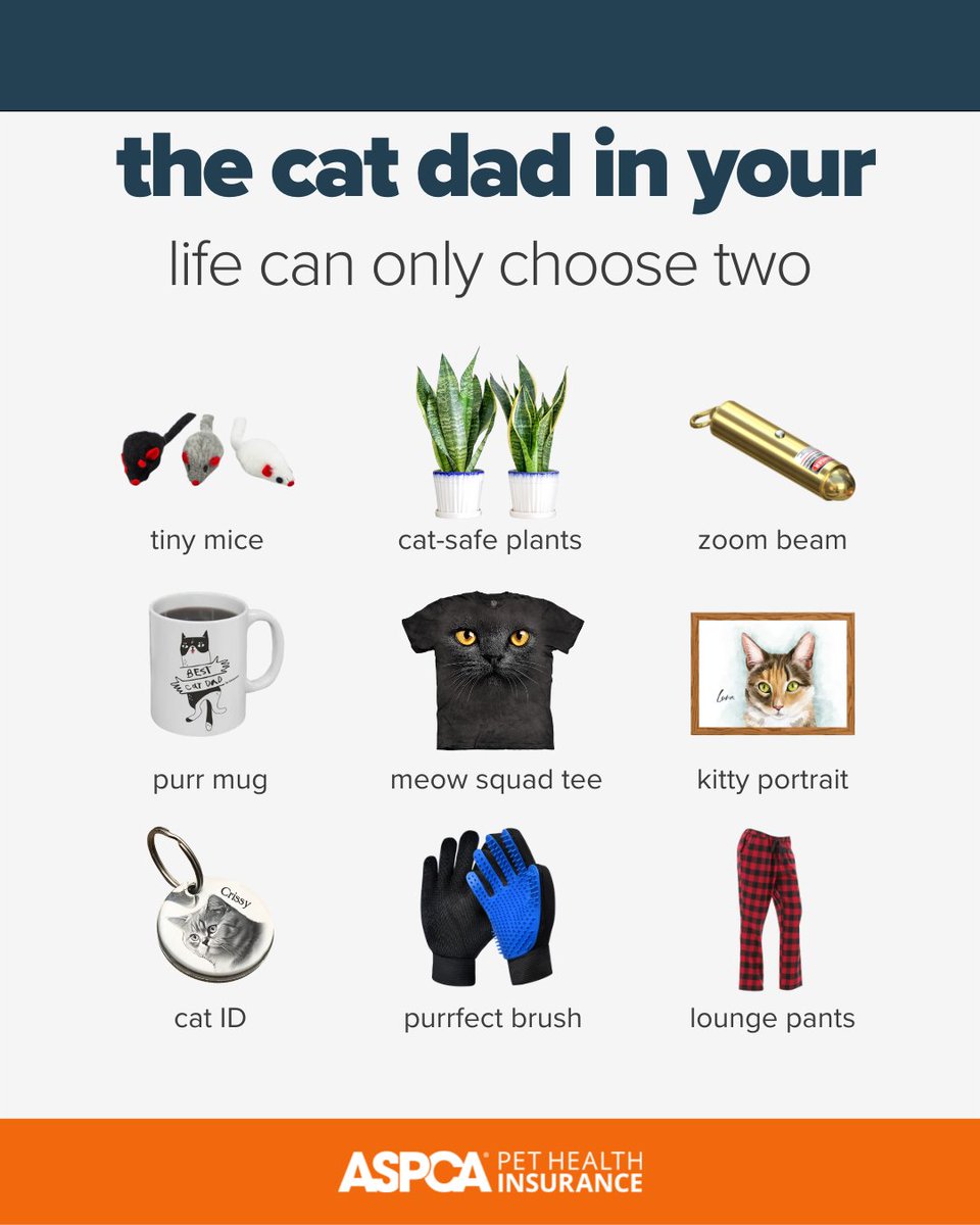 ASPCA Pet Insurance (@aspcapetins) on Twitter photo What's on your cat dad's top 2 list? 👀
#FathersDay #CatDad What's on your cat dad's top 2 list? 👀
#FathersDay #CatDad