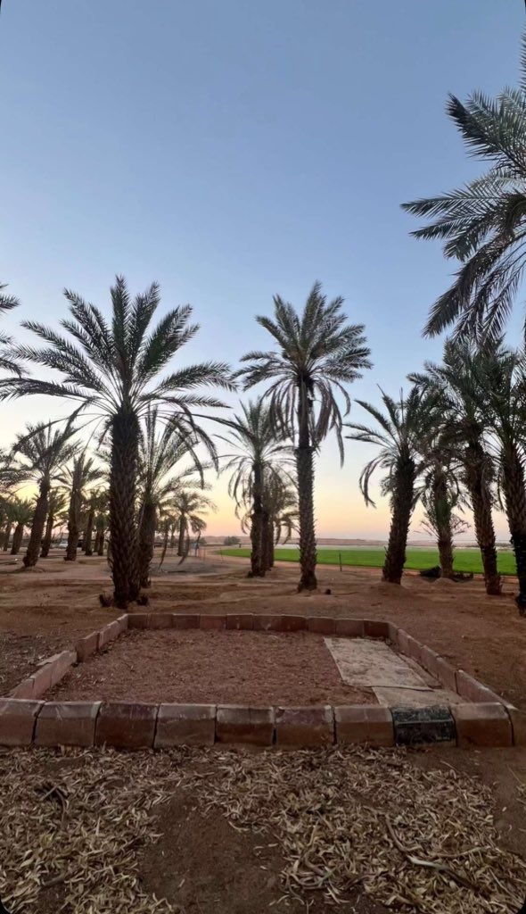 𝐇𝐞𝐬𝐬𝐚𝐡🎖️ tweet media