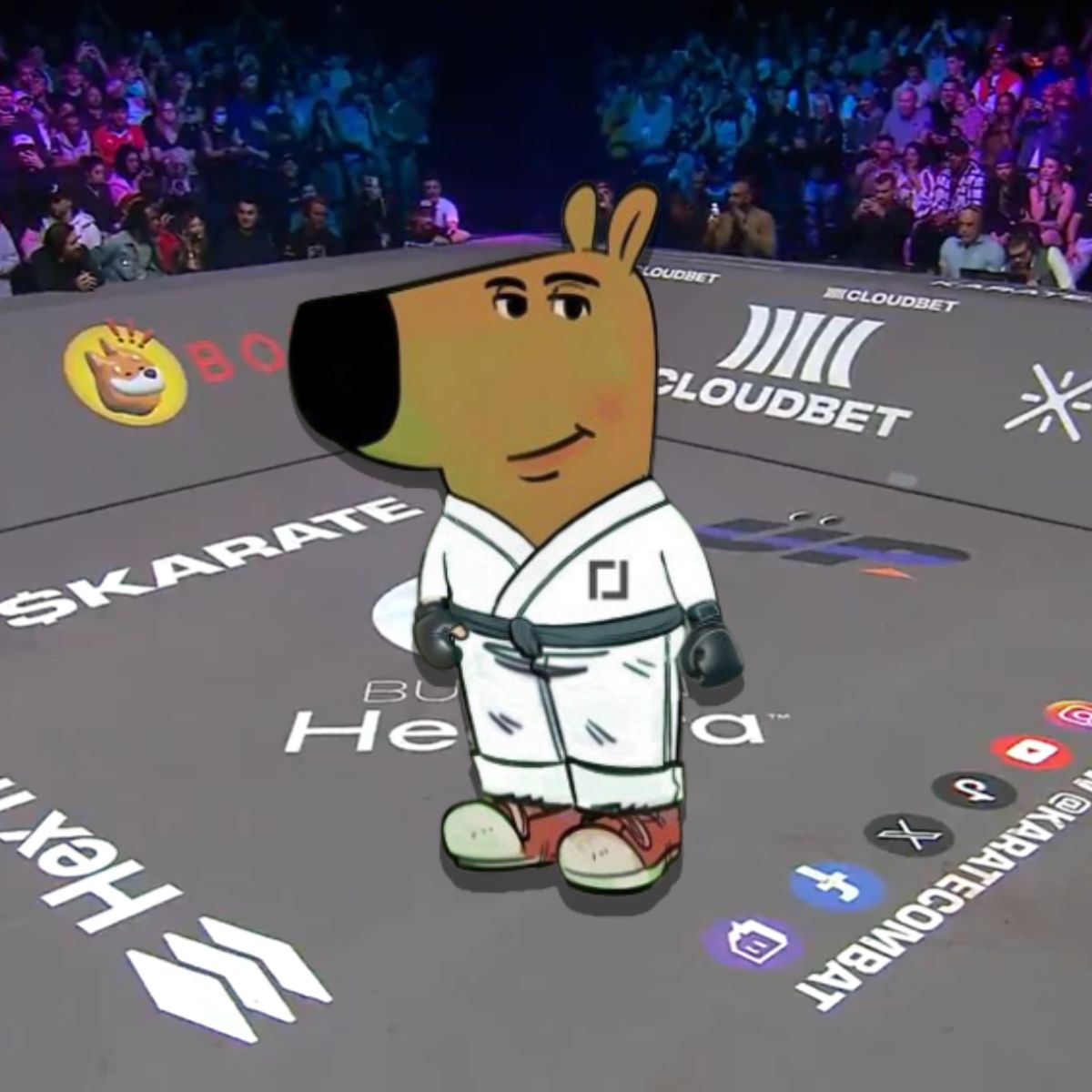 update: just changed my icon (i mean my bg)

meet me in the pit 😤 how’s it look?