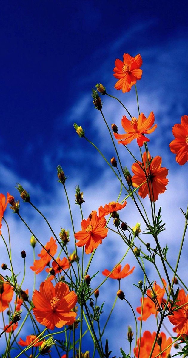 ☄️
“God tests His servants according to their level of faith.”
#ImamHadi✨
Your trials aren’t punishments, they’re signs of His love. 

#Tuesdaymotivations 
#TimnasDay #TimnasDay 
#FreedomFlotilla #Madleen 
#NaturePhotography #Gaza