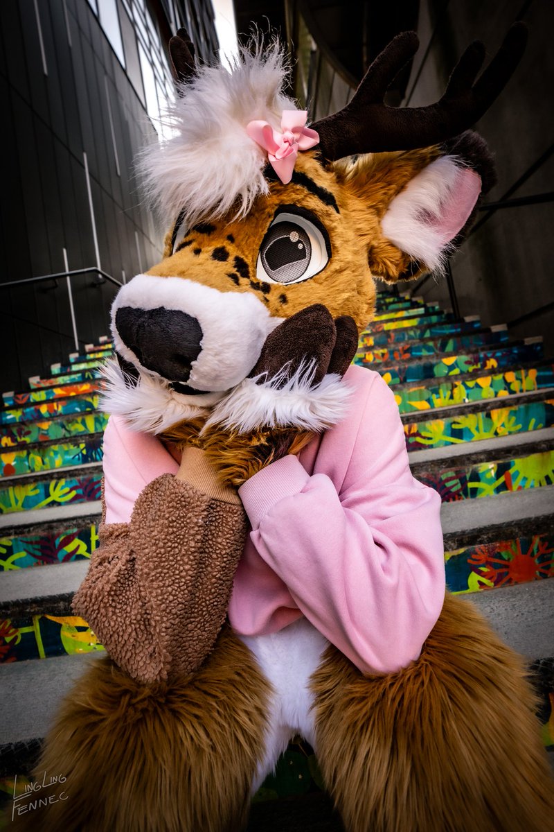 Thinking about all the big fluffy animals in this fandom 😊

📸: Linglingfennec 🦋