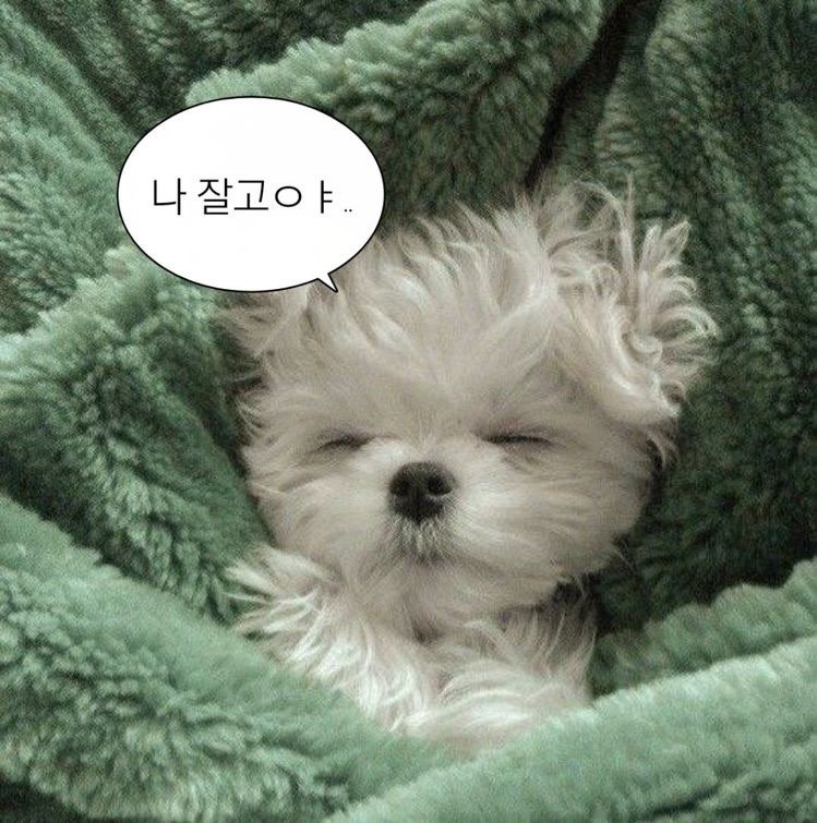๋ฅ๐ฉท๐๐ฉต๐งก๐ฉถ๐ค (@nya__aang) on Twitter photo #Ohwayo_Talk
<a href="/oi52ohighyo/">์คํ์ Ohwayo</a>
์ค๋ ์ฆ๊ฑฐ์ ์ด์
๋ธ๋ฆฌ์น๋ ์ฌ๋ฐ๊ฒ๋ดค๊ณ ์ค๊ฐ์ ๋ฐ์ฟ ์ผ๋งํด ๋บ์ด๊ฐ์
๊ฐ์ฑํ๋๊ฑฐ ๋ณด๊ณ ์๊ฒํ๋๊ฑฐ ๋ณด๊ณ ์์ฐ๋ฌ์ด๋ฐ ๋ฐ์์ด ๋๋ฌด ์๊ฒจ์ ใ
ใ
ใ
ใ
์์ฒญ ์์๋ค์..ใ
ใ
ใ
ใ
๊ทผ๋ฐ ๋๋ฌด ์ฌ์ค์ ์ผ๋ก ์๊ทธ๋ ค์ ์ง์ง ๊ฐํ๋ ๊ฐ์ดํ๊ฑฐ ๊ฐ์์...
์ฑ
์ฝ์ ๋ ํฌ์ํธ๋ #Ohwayo_Talk
<a href="/oi52ohighyo/">์คํ์ Ohwayo</a>
์ค๋ ์ฆ๊ฑฐ์ ์ด์
๋ธ๋ฆฌ์น๋ ์ฌ๋ฐ๊ฒ๋ดค๊ณ ์ค๊ฐ์ ๋ฐ์ฟ ์ผ๋งํด ๋บ์ด๊ฐ์
๊ฐ์ฑํ๋๊ฑฐ ๋ณด๊ณ ์๊ฒํ๋๊ฑฐ ๋ณด๊ณ ์์ฐ๋ฌ์ด๋ฐ ๋ฐ์์ด ๋๋ฌด ์๊ฒจ์ ใ
ใ
ใ
ใ
์์ฒญ ์์๋ค์..ใ
ใ
ใ
ใ
๊ทผ๋ฐ ๋๋ฌด ์ฌ์ค์ ์ผ๋ก ์๊ทธ๋ ค์ ์ง์ง ๊ฐํ๋ ๊ฐ์ดํ๊ฑฐ ๊ฐ์์...
์ฑ
์ฝ์ ๋ ํฌ์ํธ๋