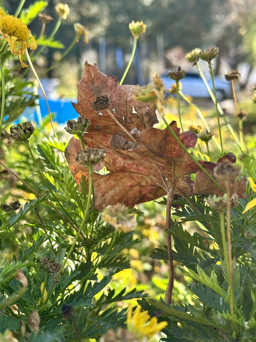 Cosas inesperadas ! 
Pasan … 🍂