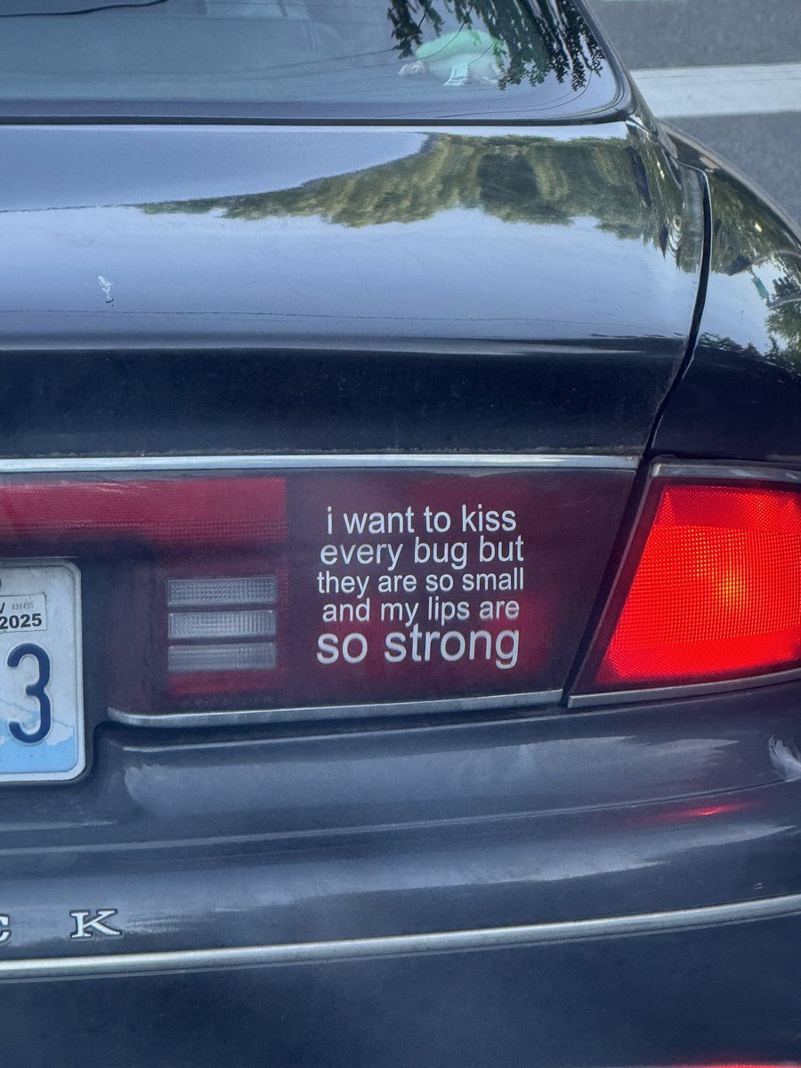 wild bumper stickers (@wildbumper) on Twitter photo 