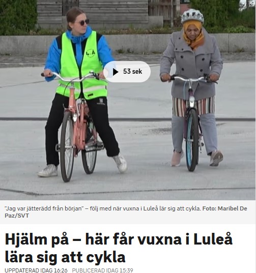 "Syftet är bland annat att öka chansen till jobb"...Det här landet är bortom all jävla räddning!
