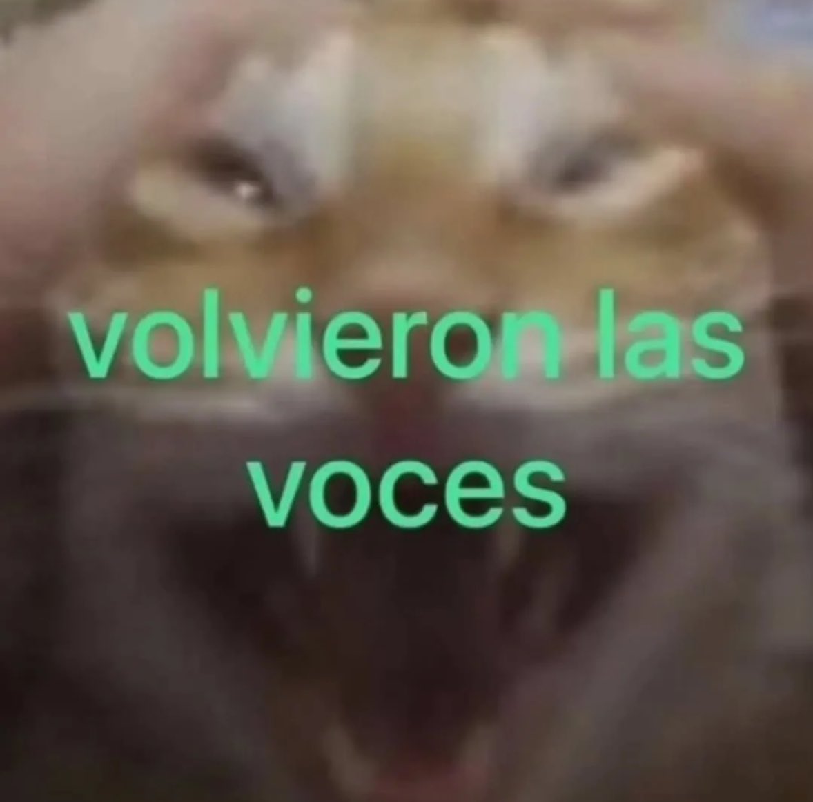 yo qué sé tweet media