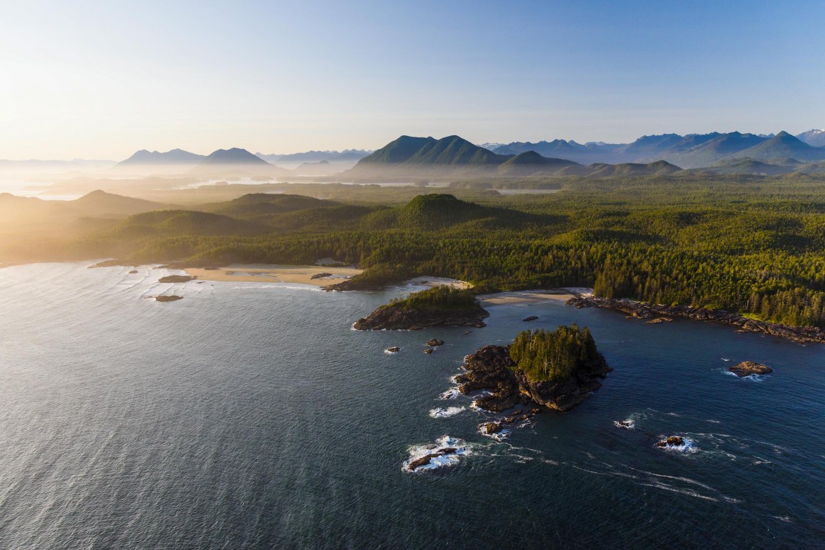 Today is National Indigenous Peoples Day. Learn how First Nations communities are leading conservation wins across BC! 
 
Last year, 76,000 hectares of Clayoquot Sound’s pristine forest were protected thanks to the Ahousaht and Tla-o-qui-aht First Nations and the Province of BC.
