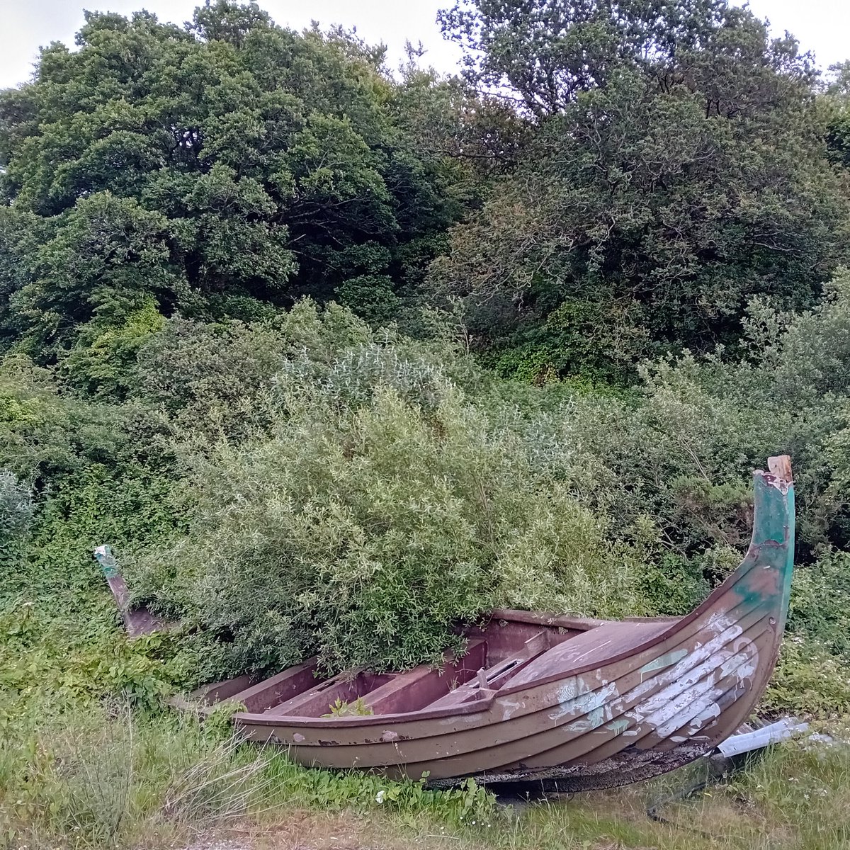 JJ Gallagher (@jjgallagher3) on Twitter photo Doh!! Wrong Gorey, silly sat nav 🤣🤣 But we found a boat!!! Back soon, I think.... <a href="/redteamJSY/">Red Teaming Jersey</a> <a href="/TheOnlyGuru/">Binky</a> <a href="/MiloShropshire/">Mister Milo</a> #lostinIreland 😂 Doh!! Wrong Gorey, silly sat nav 🤣🤣 But we found a boat!!! Back soon, I think.... <a href="/redteamJSY/">Red Teaming Jersey</a> <a href="/TheOnlyGuru/">Binky</a> <a href="/MiloShropshire/">Mister Milo</a> #lostinIreland 😂