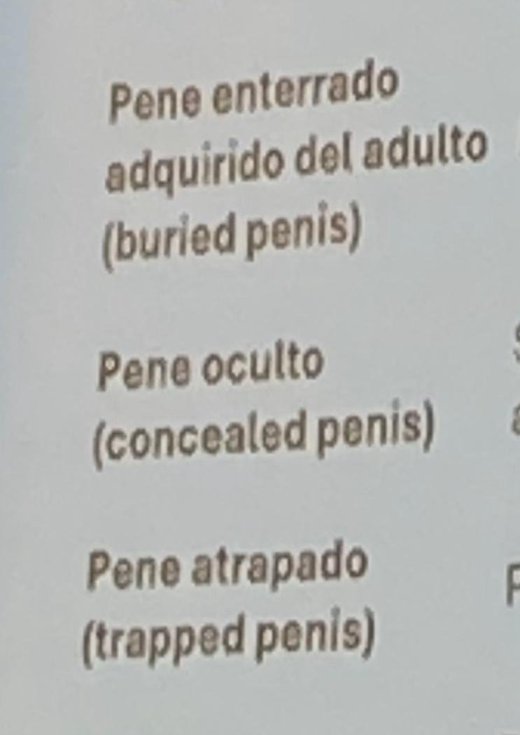 qué tipo de pene te sientes hoy???