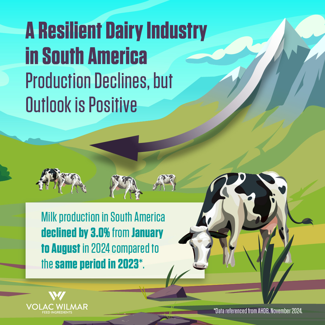 Milk production in South America may be down, but the industry's resilience is evident. 💪

Despite ongoing challenges, shifting consumer demands and investment in modern farming are helping to strengthen the outlook for dairy across the region. 🥛

#DairyIndustry