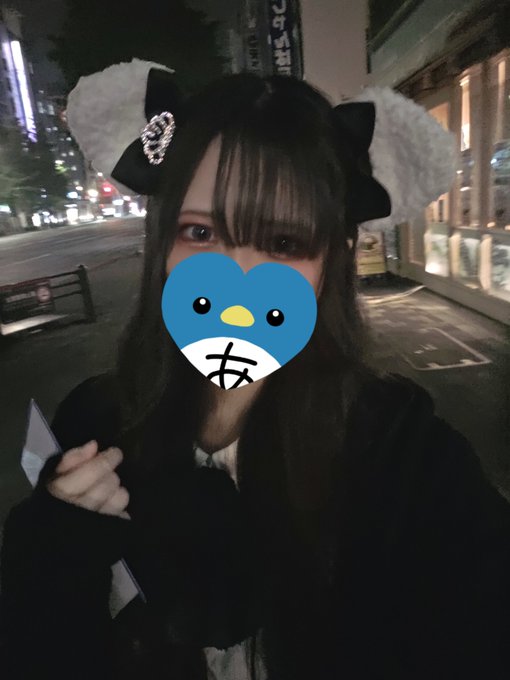 MaineCoon『メインクーン』