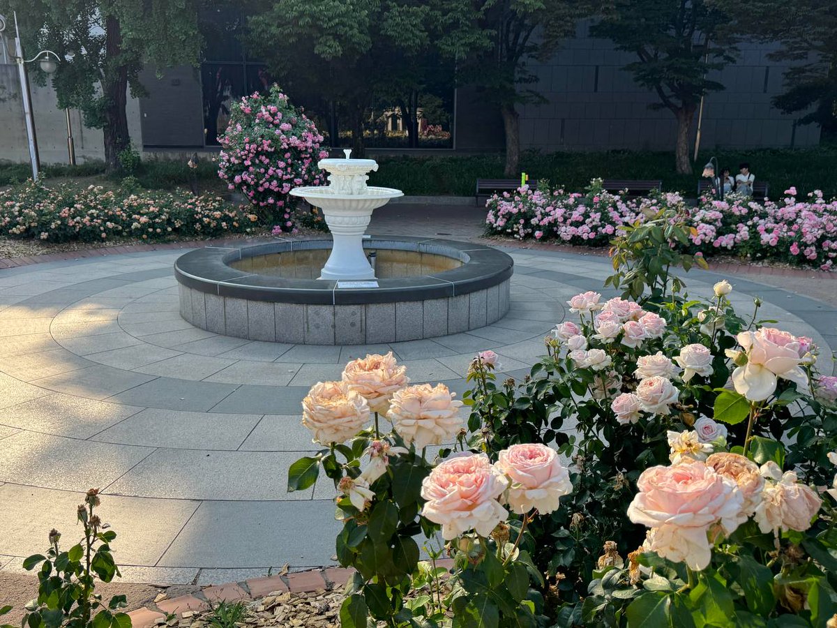 Maria walter (@wutwutindabutt) on Twitter photo 