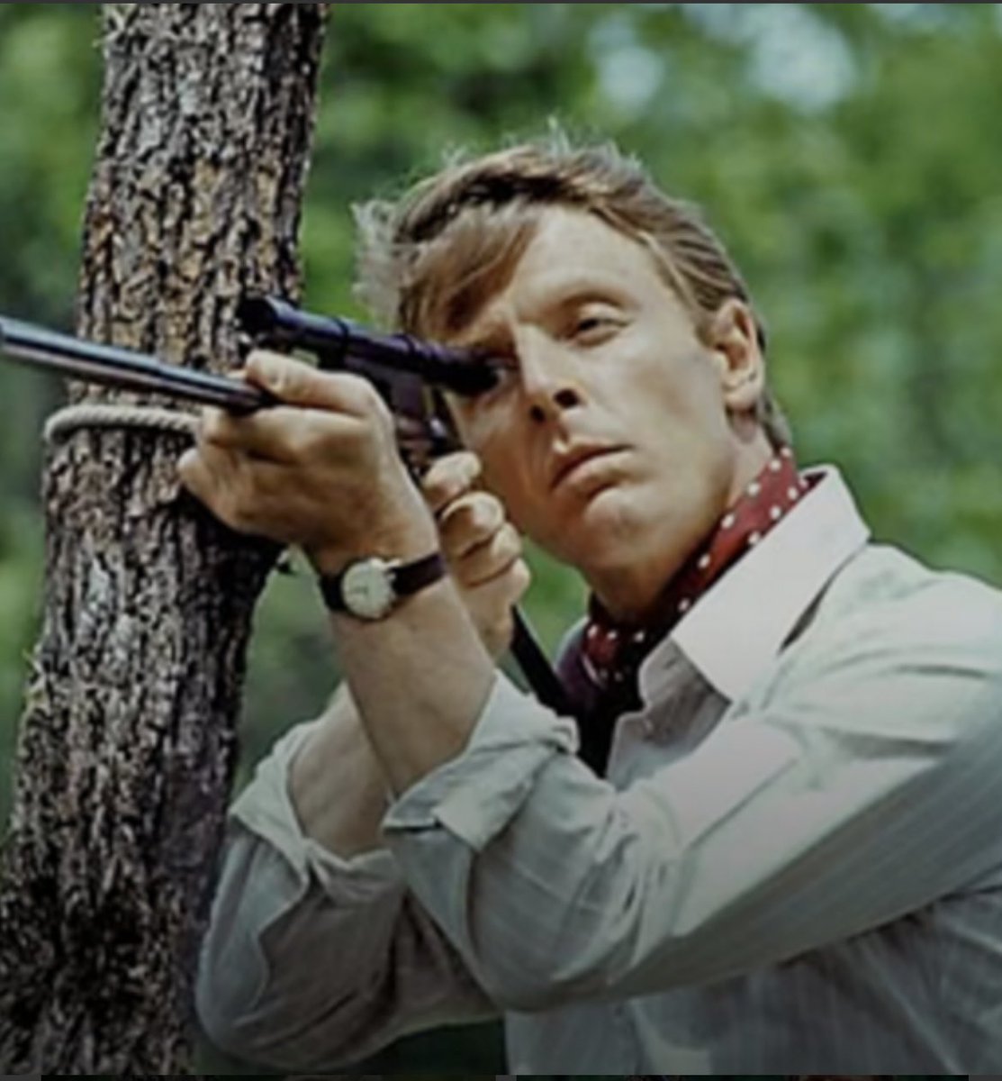 S Sebag Montefiore tweet media