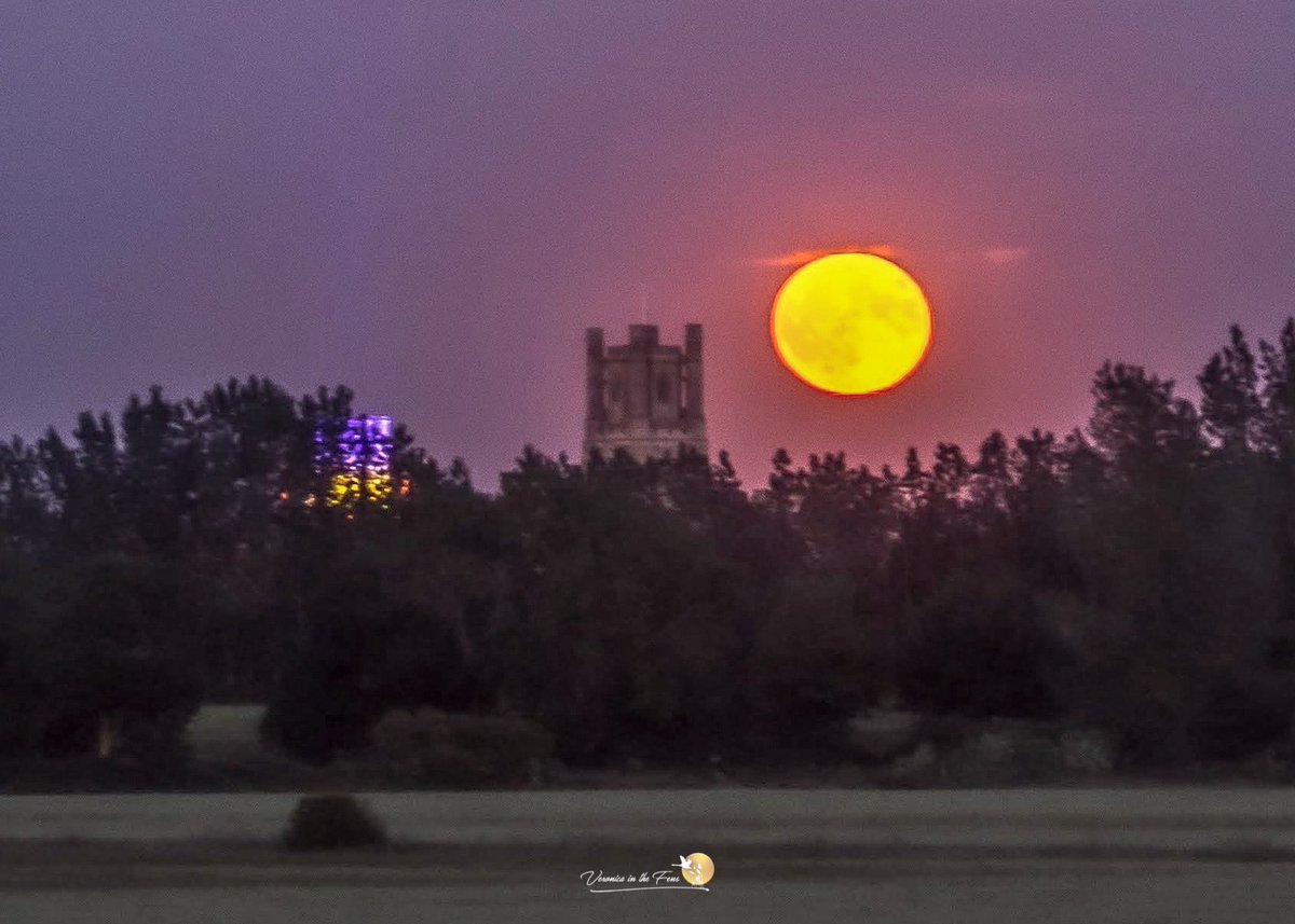 VeronicaJoPo's tweet photo. Tonight the Strawberry Full Moon will be rising over The Fens. Just before 9:30pm 🌝
Here are some photos from previous years 😁
Ely, Cambridgeshire https://t.co/WcslajJKAq